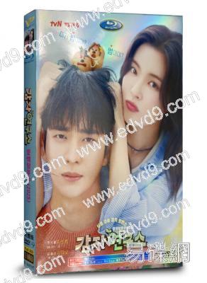 愛情發芽中(2025)(李先彬 薑泰伍)(高清5片裝)