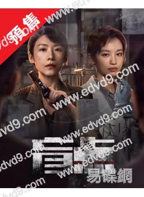 (預售04.30)盲點(2025)(呂曉霖 王禛)(高清4片裝)