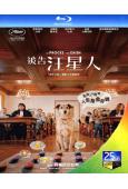 狗的審判/被告汪星人(2024)(台灣正上映)(25G藍光)