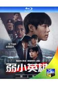 弱美男英雄/脆弱的英雄 第二季(2025)(樸誌訓)(2BD)(25G藍光)
