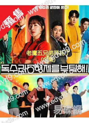 (預售08.06)老鷹五兄弟拜托了(全集)(2025)(嚴誌媛 安在旭)(高清12片裝)