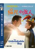 陽光小強人/堅不可摧的男孩(2025)(紮克瑞·萊維)(高清獨家版)