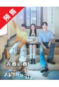 (預售07.02)青春之春/四季之春(2025)(何有俊 樸...