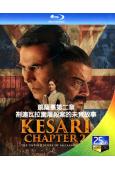 凱薩裏第二章:劄連瓦拉園屠殺案的未竟故事(2025)(法庭劇情片)(25G藍光)