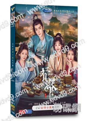 賢婿(2025)(潘毅鴻 朱容君)(短劇)(高清4片裝)