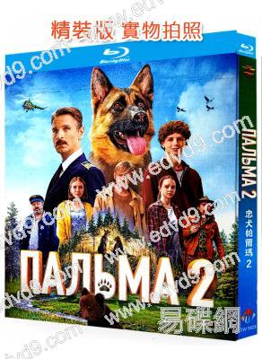 忠犬帕爾瑪2(2025)(溫情喜劇)(院線大片)(25G藍光)
