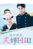 波光和煦，夫妻良辰(2025)(芳根京子)(4片裝)(高清獨...