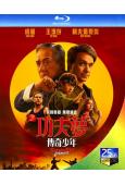 功夫夢:融合之道/小子難纏:空手道傳奇(2025)(成龍)(院線電影)(25G藍光)