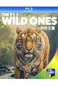 野性生靈(2025)(紀錄片)(2BD)(25G藍光)