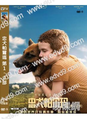 忠犬帕爾瑪[第1-2部](2021-2025)(溫情喜劇)(高清獨家版)