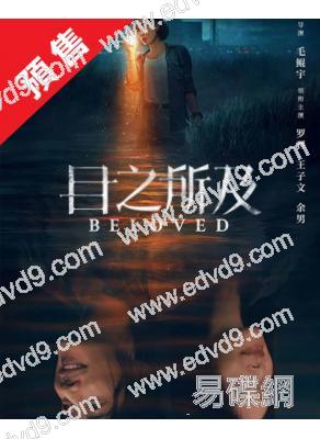 (預售09.16)目之所及(2025)(羅晋 王子文)(高清4片裝)