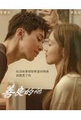 善良的他(2025)(李棟旭 李晟京)(高清5片裝)
