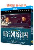 暗潮緝兇(2025)(陳建斌 陳若軒)(2BD)(25G藍光)