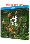 生萬物(2025)(楊冪 歐豪)(4BD)(25G藍光)(年代劇)