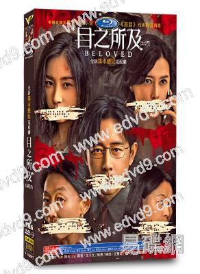 目之所及(2025)(羅晋 王子文)(高清4片裝)