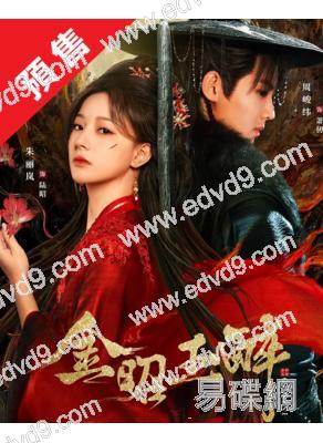 (預售10.18)金昭玉醉(2025)(周峻緯 朱麗嵐)(高清5片裝)	