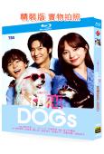 初戀DOGs(2025)(清原果耶 羅人友)(日韓合拍)(2BD)(25G藍光)(緯來同步播出)