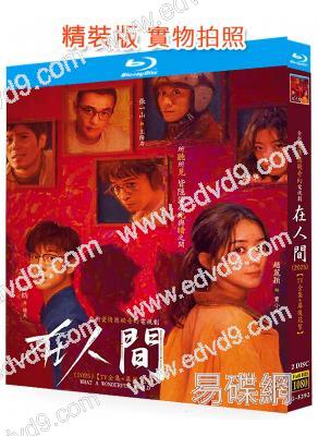在人間(2025)(趙麗穎 張一山)(2BD)(25G藍光)