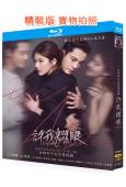 許我耀眼(2025)(趙露思 陳偉霆)(3BD)(25G藍光)