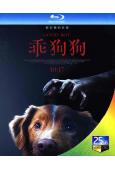 乖狗狗/好狗狗(2025)(驚悚片)(院綫電影)(25G藍光)