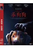 乖狗狗/好狗狗(2025)(驚悚片)(院綫電影)(高清獨家版)