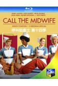 BBC呼叫助產士 第十四季(2025)(2BD)(25G藍光)