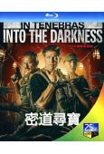 密道尋寶(2024)(冒險動作片)(25G藍光)