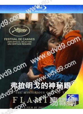 弗拉明戈的神秘眼神(2025)(代表智利角逐奧斯卡)(25G藍光)