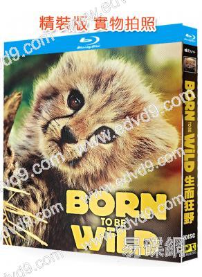 生而狂野(2025)(紀錄片)(2BD)(25G藍光)