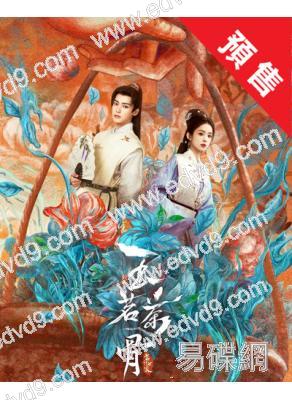 (預售26.01.20)玉茗茶骨(2025)(侯明昊 古力娜紮)(高清8片裝)