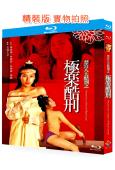 禁宮八大酷刑之極樂酷刑(2000)(麥家琪)(情色港產片)(國/粵語雙語)(25G藍光)
