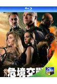 危境交戰(2025)(動作戰爭片)(25G藍光)