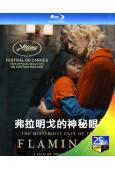 弗拉明戈的神秘眼神(2025)(代表智利角逐奧斯卡)(25G藍光)