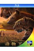 大衛·愛登堡:動物王國(2025)(BBC紀錄片)(2BD)...