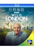 狂野倫敦(2026)(大衛·愛登堡)(紀錄片)(25G藍光)