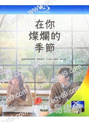 (預售02.28)在你的燦爛季節(2026)(李聖經 蔡鐘協)(2BD)(25G藍光)