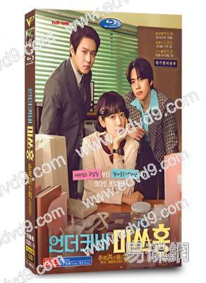 臥底洪小姐(2026)(朴信惠 高庚杓)(高清5片裝)