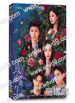 玫瑰叢生(2026)(王子文 劉宇寧)(高清5片裝)