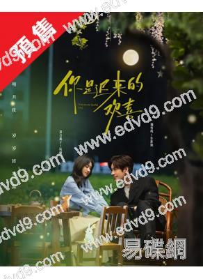 (預售04.15)你是遲來的歡喜(2026)(魏哲鳴 鄭合惠子)(高清6片裝)