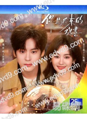 (預售04.15)你是遲來的歡喜(2026)(魏哲鳴 鄭合惠子)(3BD)(25G藍光)