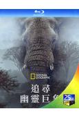 追尋幽靈大象(2025)(國家地理出品紀錄片)(25G藍光)