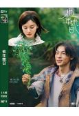 他年她日(2005)(許光漢 袁澧林)(台灣院綫電影)(高清獨家版)