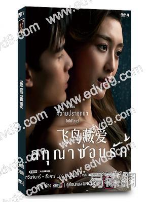 (熱播泰劇)飛鳥藏愛(2026)(大尺度愛情劇)(4片裝)(高清獨家版)