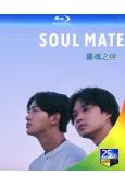 靈魂之伴(2026)(同性題材)(玉澤演 磯村勇鬥)(2BD)(25G藍光)