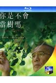你是不會當樹嗎/寂靜的朋友(2025)(梁朝偉)(台灣正上映...