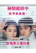 秘戀稽核中/隱秘的監察(2026)(申惠善 孔明)(高清5片裝)