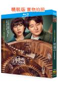 迷牆(2026)(郭京飛 任素汐)(2BD)(25G藍光)