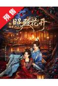 (預售07.10)照殿花開(2026)(戚硯笛 肖凱中)(古...