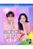 (預售08.08)共感細胞(2026)(金明洙 薑旻兒)(2...
