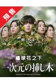 (預售09.06)繡球花之下/一次元的扡插(2026)(山田...